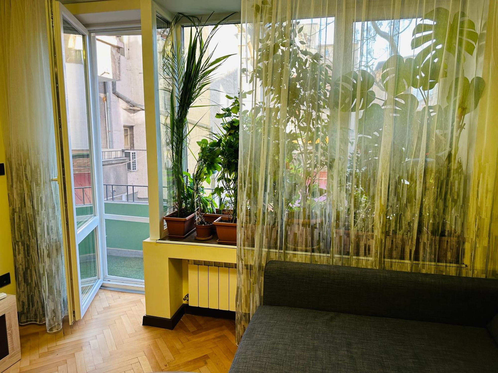 Luxury Oasis In Absolute Center Of Sofia Apartman Kültér fotó